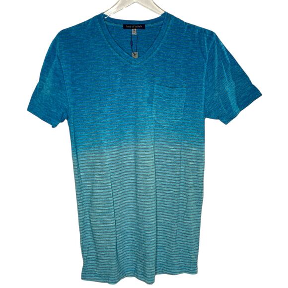 Lords of Harlech S NEW Mens V Neck T Shirt Striped Aqua Short Sleeve Active - Picture 1 of 8